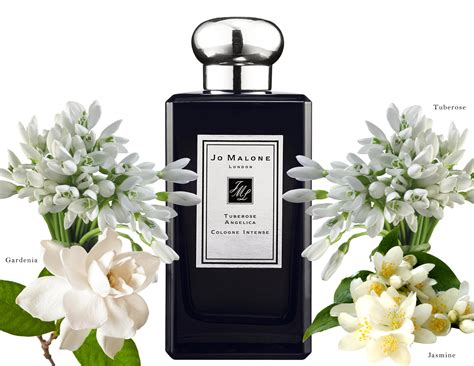 tuberose and angelica jo malone